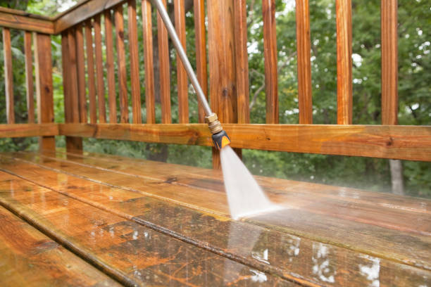 Animal Enclosure Cleaning in Ojai, CA
